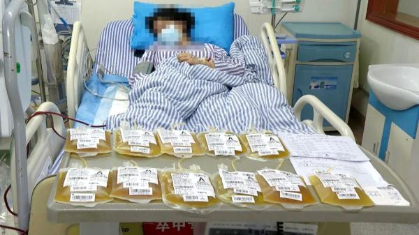 湖南15岁女孩误食毒蘑菇，首次置换血浆2000毫升