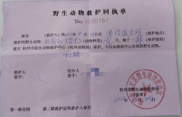 杭州男子家楼下发现“小怪兽”，民警一查不得了