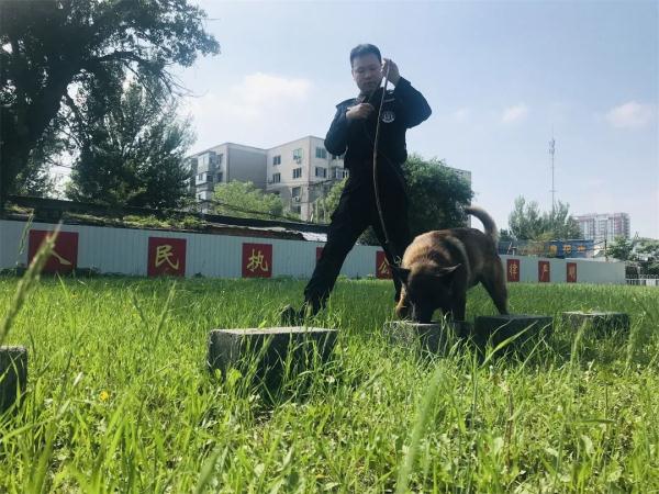 缉毒犬是怎样成功“考编”的？过程太励志！