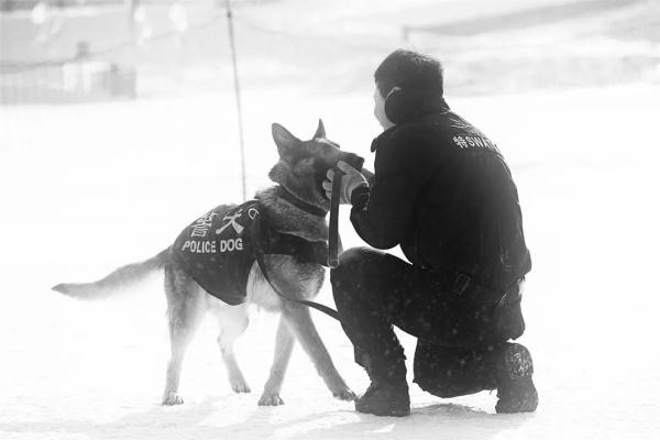 缉毒犬是怎样成功“考编”的？过程太励志！