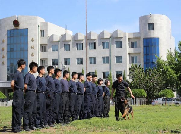 缉毒犬是怎样成功“考编”的？过程太励志！