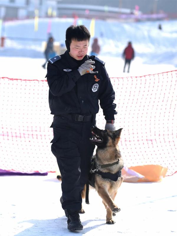缉毒犬是怎样成功“考编”的？过程太励志！