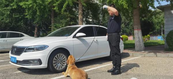 缉毒犬是怎样成功“考编”的？过程太励志！