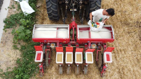 河北曲阳推广大豆玉米带状复合种植新模式