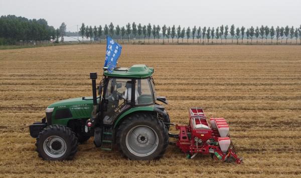 河北曲阳推广大豆玉米带状复合种植新模式