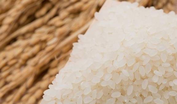 湿气缠身易心梗，今年夏天尤其危险！祛湿养心，一用一个准