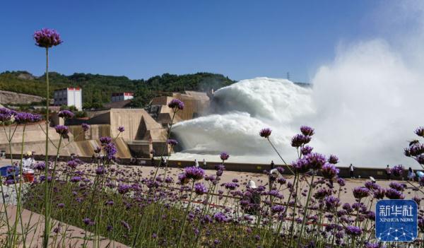 黄河调水调沙是咋回事？