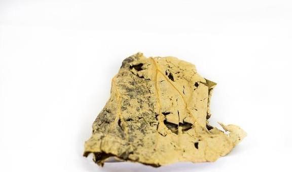 湿气缠身易心梗，今年夏天尤其危险！祛湿养心，一用一个准