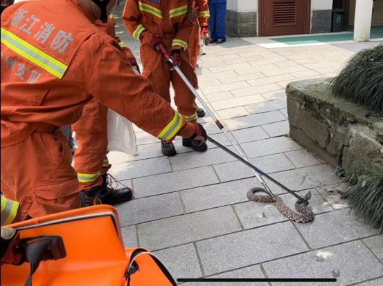 单位打印机冒出条尾巴!杭州女子吓到腿软,就在手边!进入高发期,碰到它这一步能保命 单位打印机冒出条尾巴!杭州女子吓到腿软,就在手边!进入高发期,碰到它这一步能保命