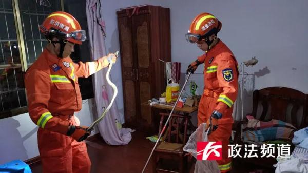 女住户惊慌报警!蛇从空调里钻了出来… 女住户惊慌报警!蛇从空调里钻了出来…