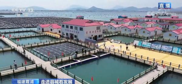 保护海洋生态 智慧渔业助力可持续发展 保护海洋生态 智慧渔业助力可持续发展