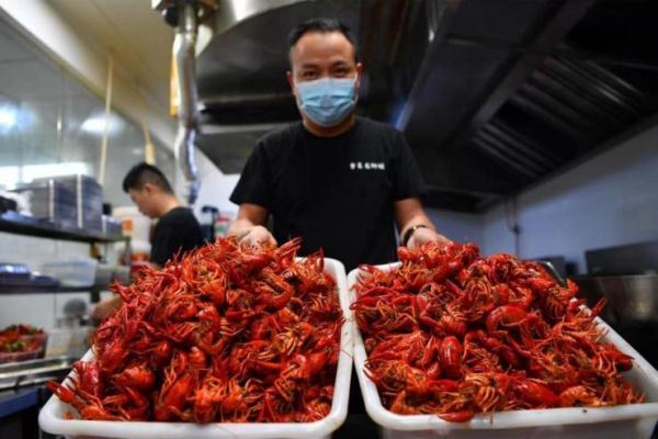 合肥包河：“夜经济”点燃城市烟火气