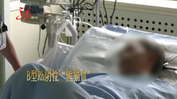 5000ml血液喷涌而出,哈尔滨一“熊猫血”女子突发血管破裂 5000ml血液喷涌而出,哈尔滨一“熊猫血”女子突发血管破裂