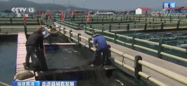 保护海洋生态 智慧渔业助力可持续发展 保护海洋生态 智慧渔业助力可持续发展