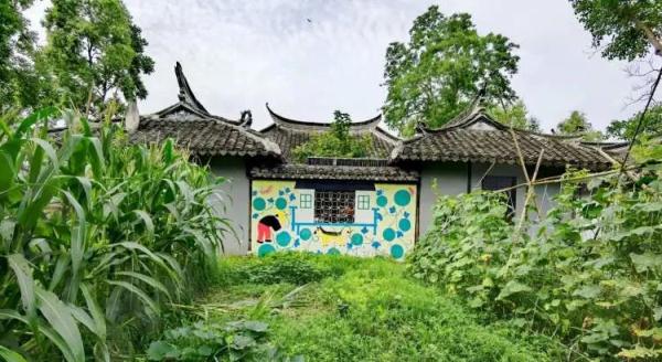 周末数千辆车涌入上海郊区！市内露营爆火，上海人周末都在哪儿？
