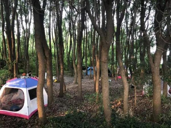 周末数千辆车涌入上海郊区！市内露营爆火，上海人周末都在哪儿？