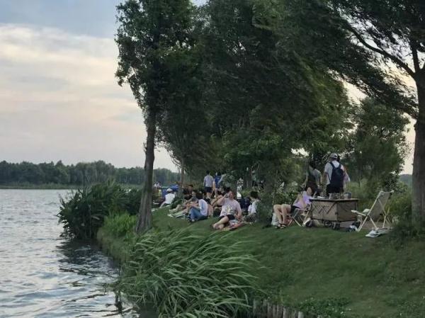 周末数千辆车涌入上海郊区！市内露营爆火，上海人周末都在哪儿？