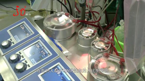 5000ml血液喷涌而出,哈尔滨一“熊猫血”女子突发血管破裂 5000ml血液喷涌而出,哈尔滨一“熊猫血”女子突发血管破裂