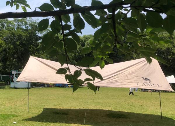 规范露营旅游，浙江出台管理意见