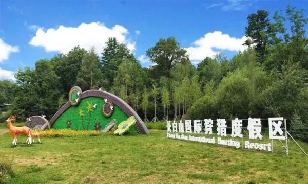 免票！打折！长白山最全宝藏攻略来了