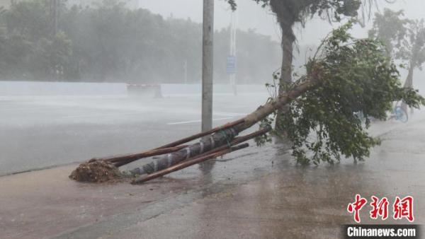 台风“暹芭” 挟狂风暴雨正面袭击广东茂名