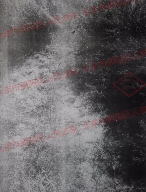 北京一大爷钓鱼时被电伤,命悬一线…法院这么判了! 北京一大爷钓鱼时被电伤,命悬一线…法院这么判了!