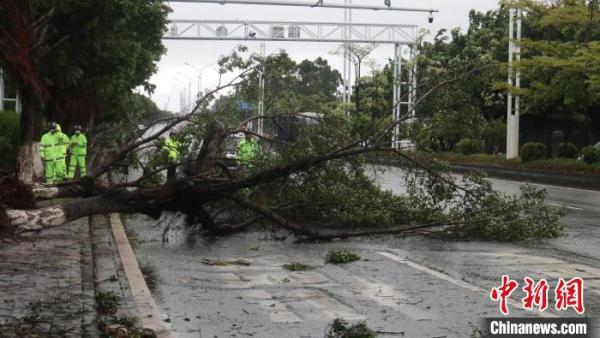 台风“暹芭” 挟狂风暴雨正面袭击广东茂名