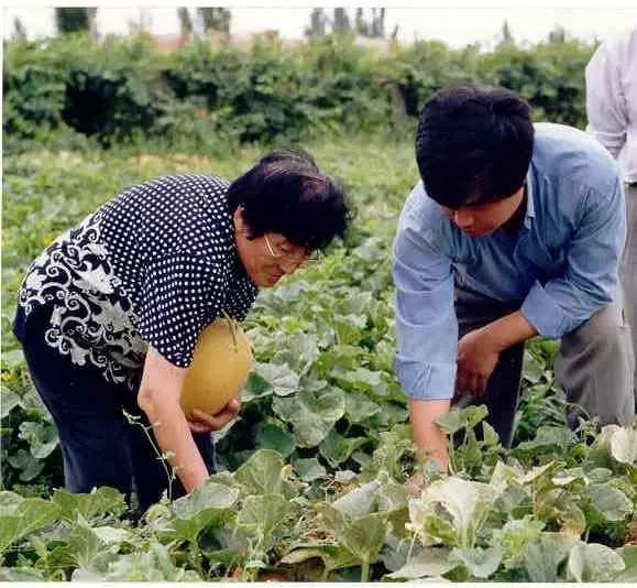 “吃瓜自由”，要感谢吴明珠奶奶！