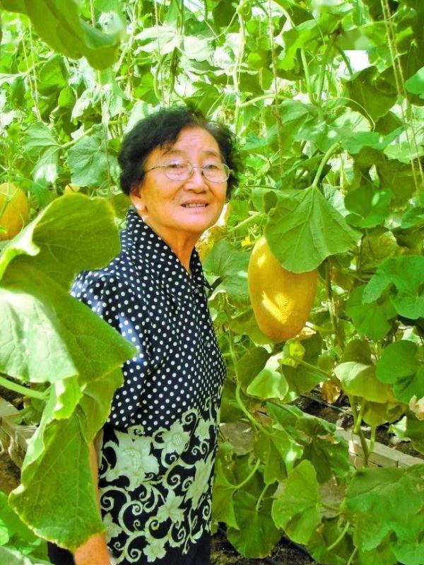 “吃瓜自由”，要感谢吴明珠奶奶！