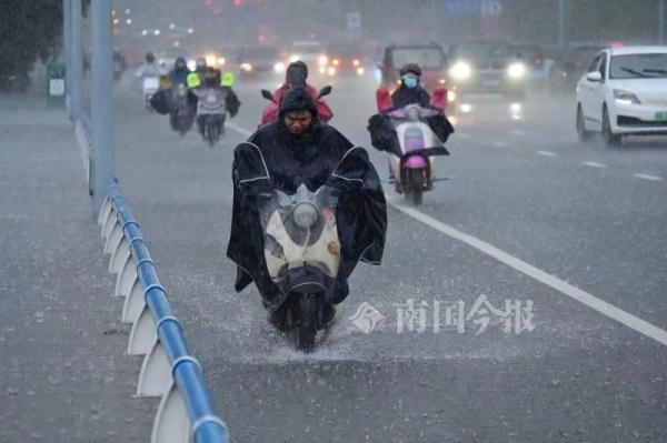 台风袭城！7级大风+雷电暴雨预警频发，柳州提升应急响应！