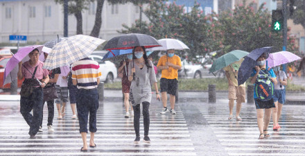 最新！广州多区台风预警信号正在生效，今天下午至明天白天仍有大到暴雨