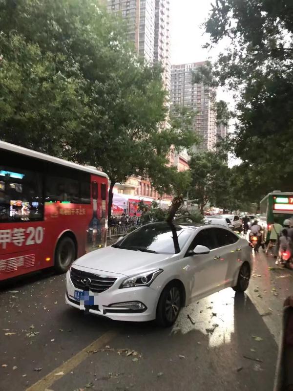 【992 | 注意】石家庄已现暴雨、大风、冰雹！这才是刚开始！