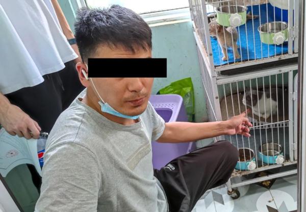 猫咪被盗，急坏了“铲屎官”