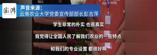 全网羡慕！云南这个赛季上分太猛了，连外援都来了