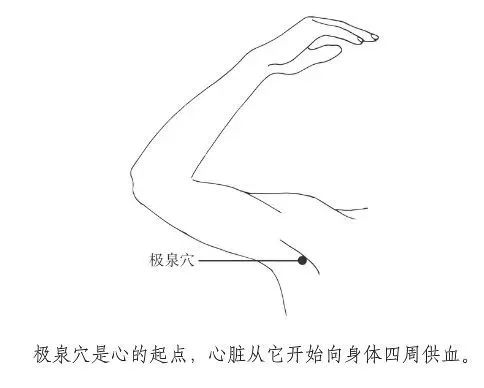 夏季养心、温阳补肾，经常按按这些穴位