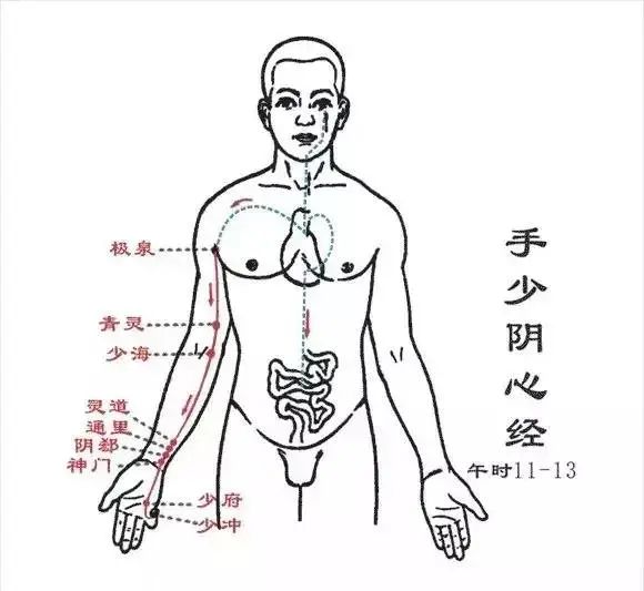 夏季养心、温阳补肾，经常按按这些穴位