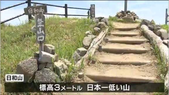 日本最低山重新开放：百人参与登山活动 海拔仅3米