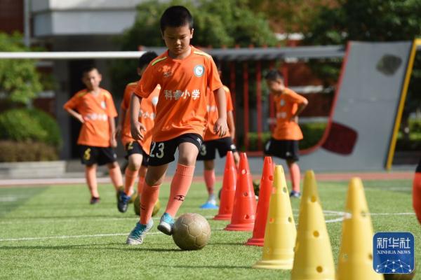 多彩暑期乐夏日