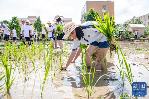 多彩暑期乐夏日