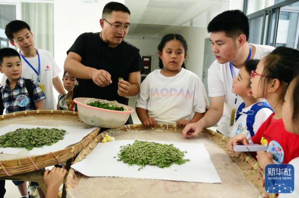 多彩暑期乐夏日