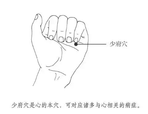 夏季养心、温阳补肾，经常按按这些穴位