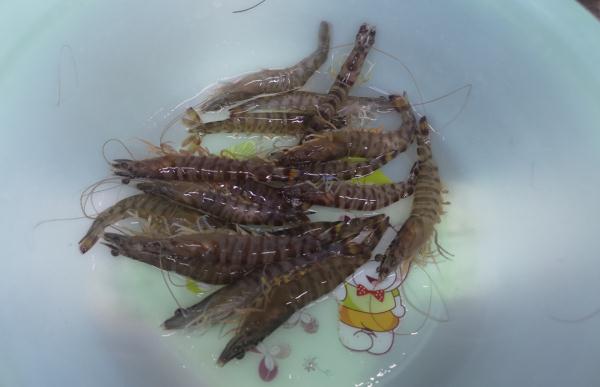 价格腰斩！浙江很多人爱吃的高档美味大降价，现在买最便宜
