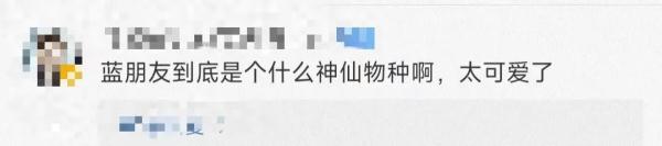 女孩义肢卡石缝,消防员暖心救援 女孩义肢卡石缝,消防员暖心救援