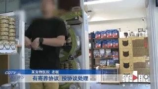 寄养猫咪到朋友家，意外死亡！重庆女子向朋友索赔