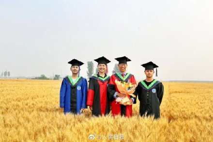 特别有意义!这张麦田里的毕业照火了 特别有意义!这张麦田里的毕业照火了