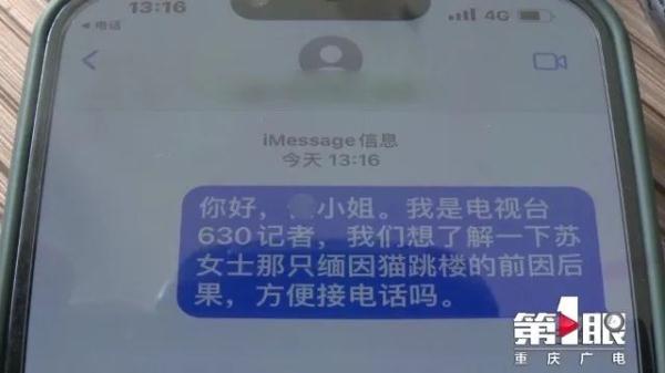 寄养猫咪到朋友家，意外死亡！重庆女子向朋友索赔