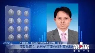 寄养猫咪到朋友家，意外死亡！重庆女子向朋友索赔