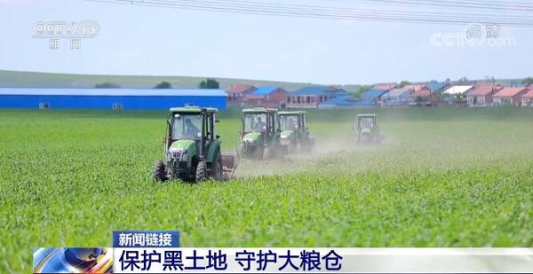 【在希望的田野上·三夏时节】推动黑土地保护与利用 守护大粮仓