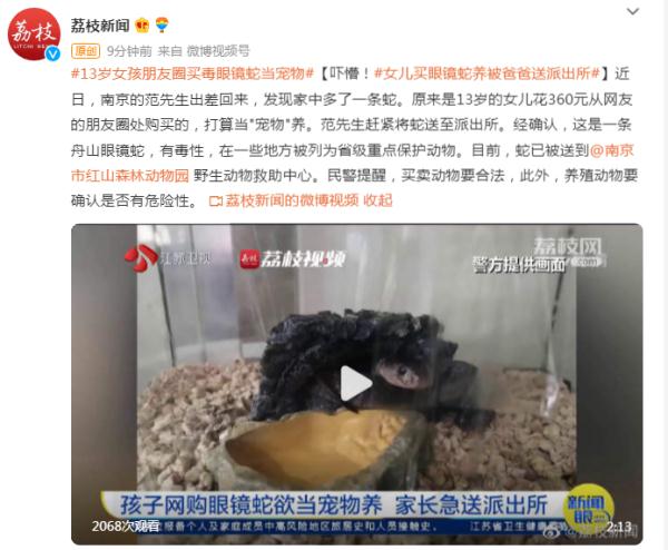 吓懵!13岁女儿买眼镜蛇当宠物,被爸爸送派出所 吓懵!13岁女儿买眼镜蛇当宠物,被爸爸送派出所