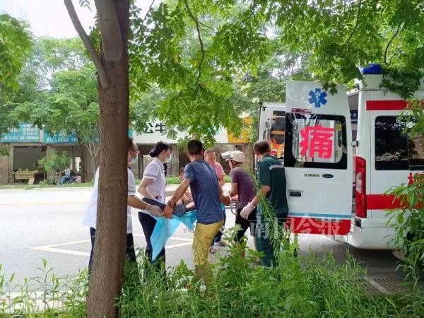 路边的芒果真的不要摘！不信你看……